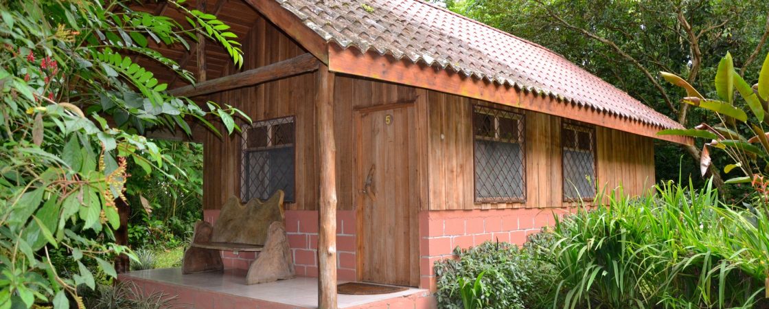L'écolodge : un refuge écologique pour un tourisme durable