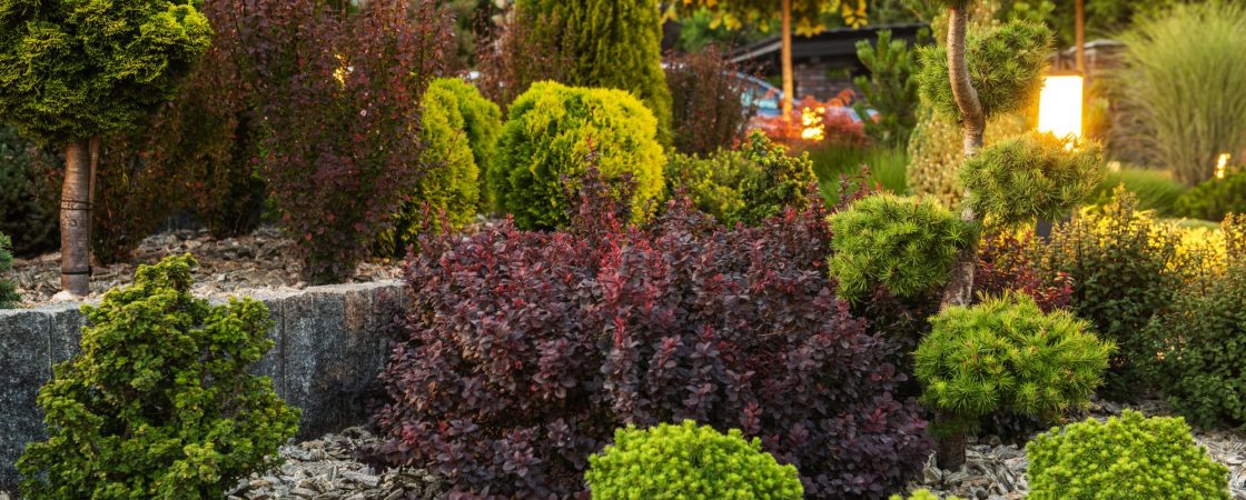 Impact du changement d'heure sur le monde végétal : une perturbation plus profonde qu'il n'y parait