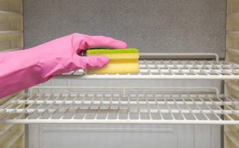 Découvrez l'utilité de l'éponge dans le frigo