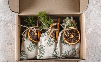 Idées à la fois écologiques et originales pour donner une seconde vie à votre sapin de Noël
