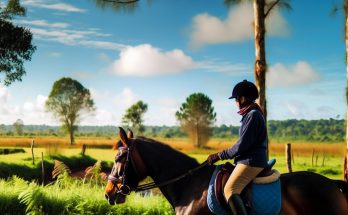 Une personne en train de monter un cheval dans un paysage naturel pour une randonnée équestre.