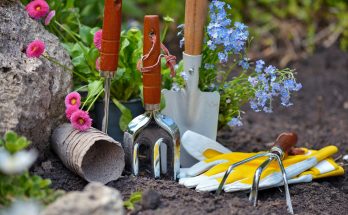Voici les outils de base pour jardiner