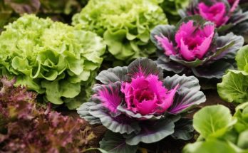 Découvrir les légumes perpétuels : un trésor pour votre jardin et votre assiette