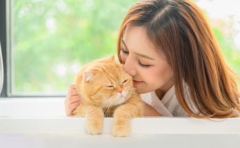 Créer une relation unique avec votre chat : les secrets des propriétaires passionnés !