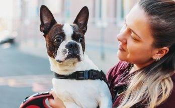 7 astuces faciles pour créer une complicité unique avec votre chien
