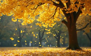 4 arbres à bannir de votre jardin pour ne plus jamais subir ces odeurs insupportables