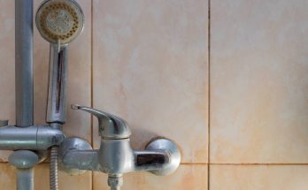 tartre pommeaux de douche
