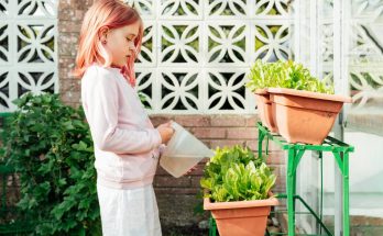 arroser plantes en pot