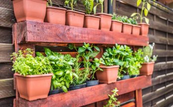 potager vertical