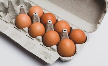 oeufs en boite